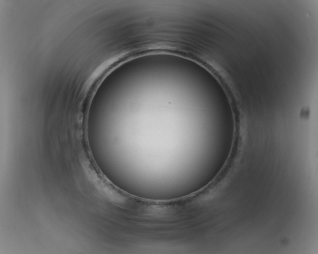X0000113370933200909221220
