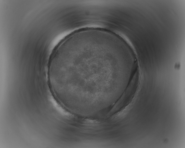 X0000113370935200909221220
