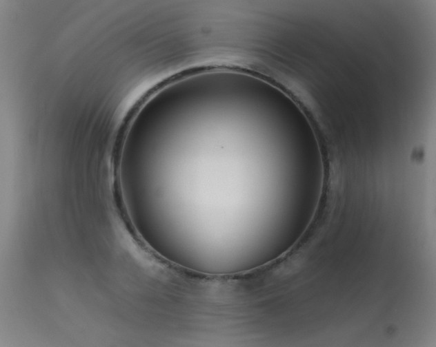 X0000113370936200909221220