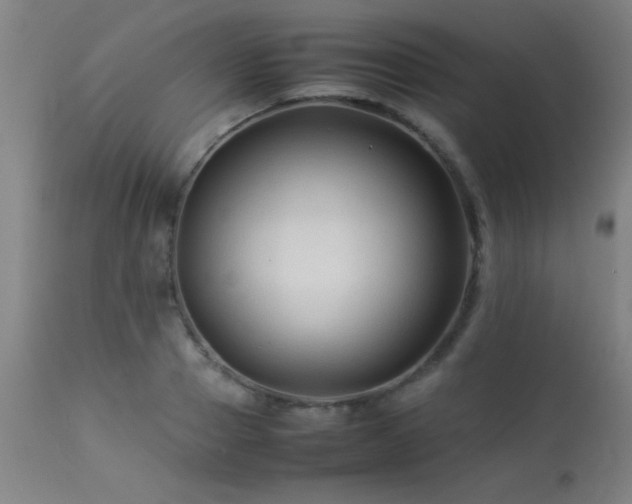 X0000113370937200909221220