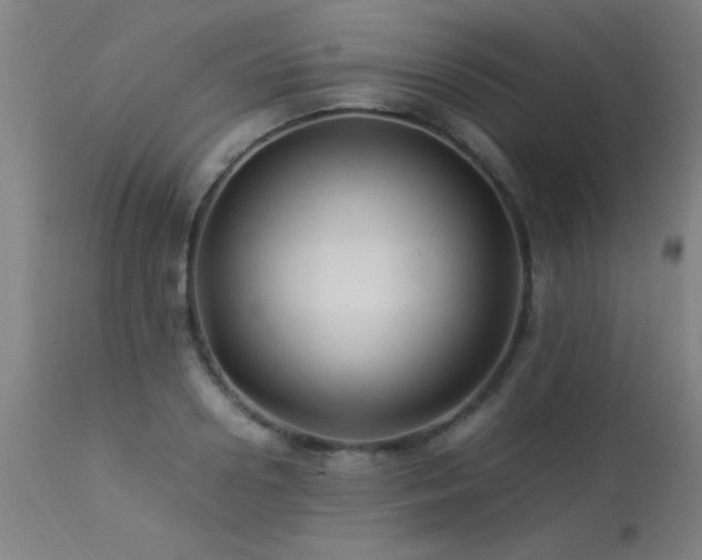 X0000113370938200909221220
