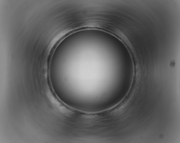 X0000113370939200909221220