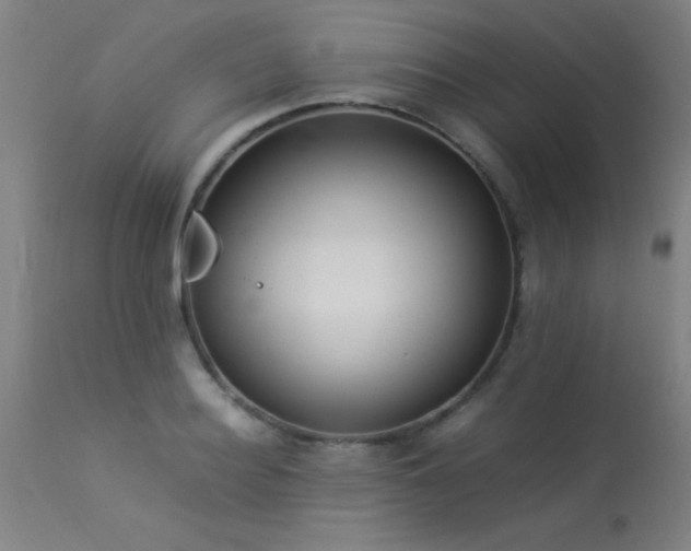 X0000113370940200909221220