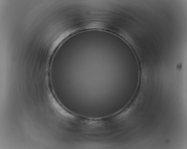 X0000113370941200909221220