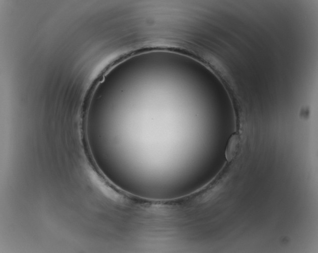 X0000113370942200909221220