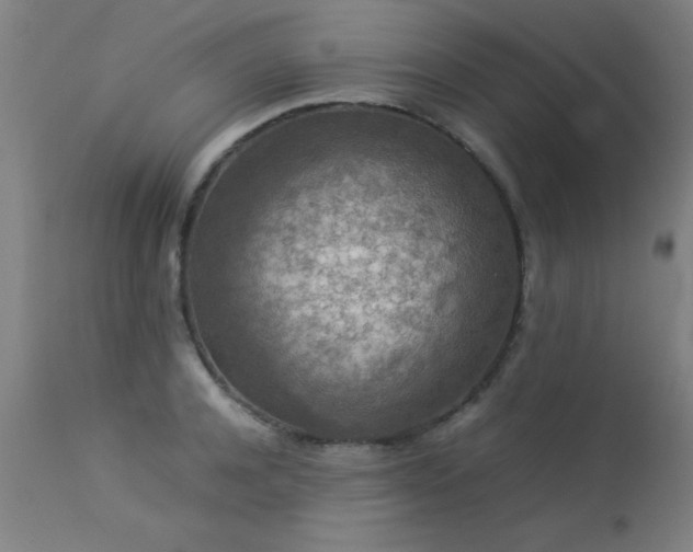 X0000113370944200909221220