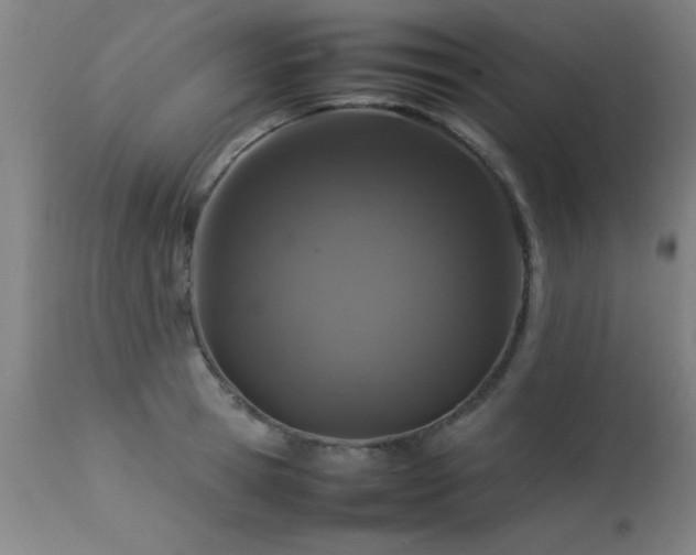 X0000113370945200909221220