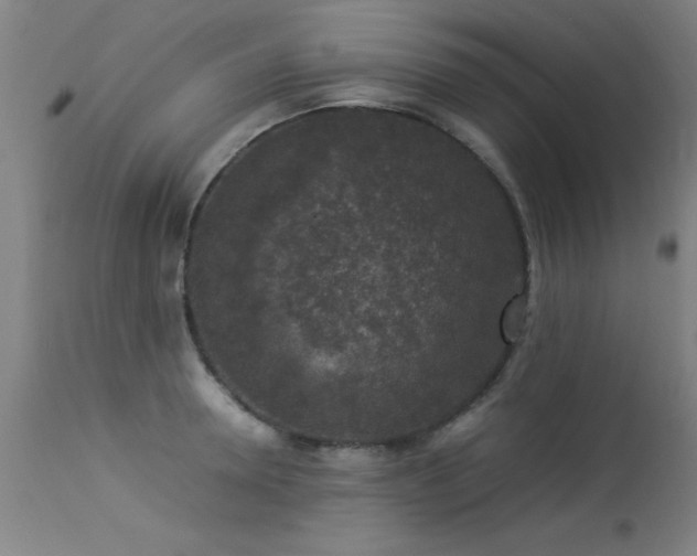 X0000113370946200909221220