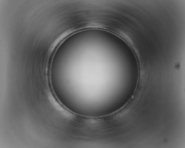 X0000113370947200909221220