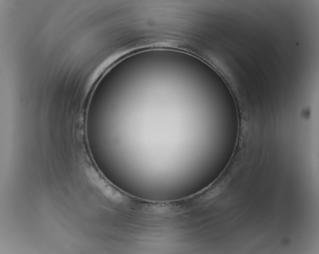 X0000113370948200909221220