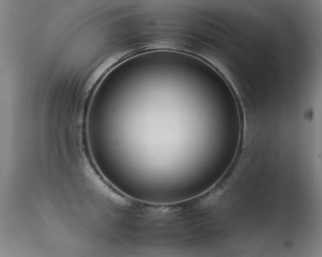 X0000113370949200909221220