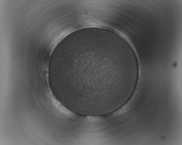 X0000113370954200909221220
