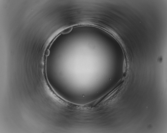 X0000113370955200909221220
