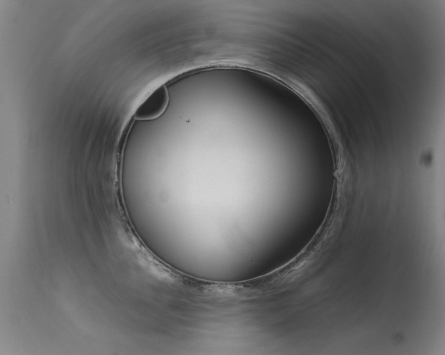 X0000113370956200909221220