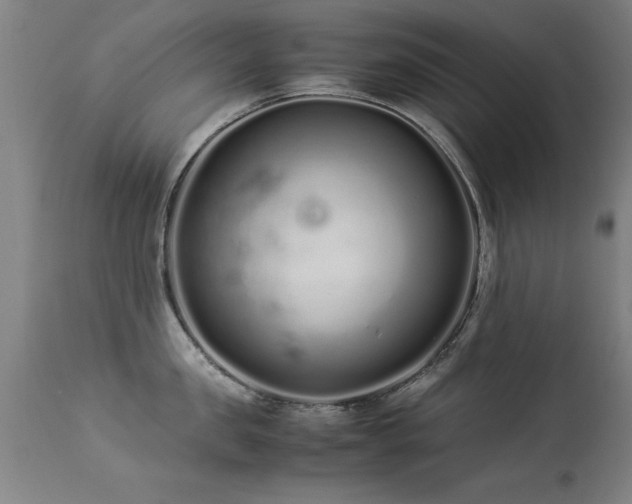 X0000113370957200909221220