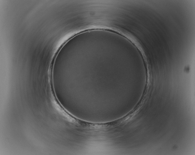 X0000113370958200909221220