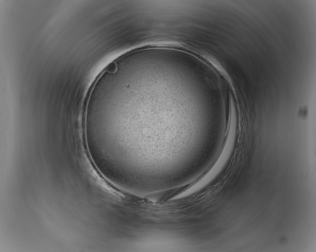 X0000113370959200909221220