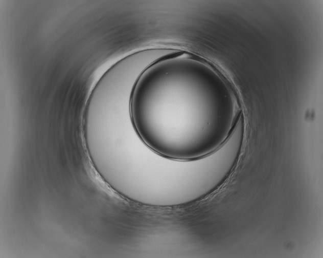 X0000113370960200909221220