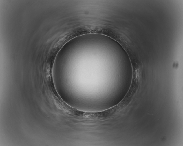 X0000113370963200909221219