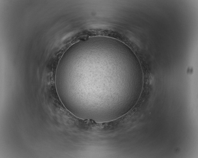 X0000113370965200909221219
