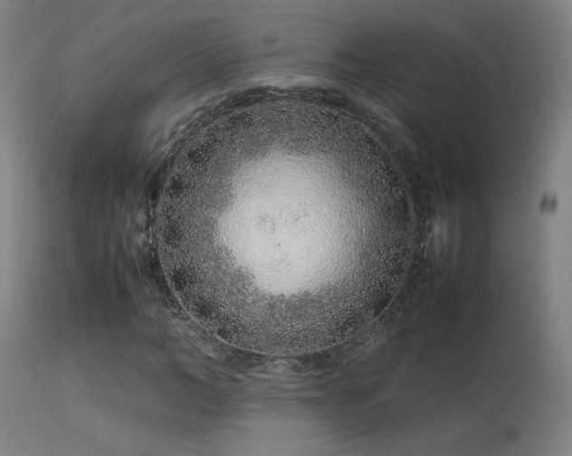 X0000113370966200909221219