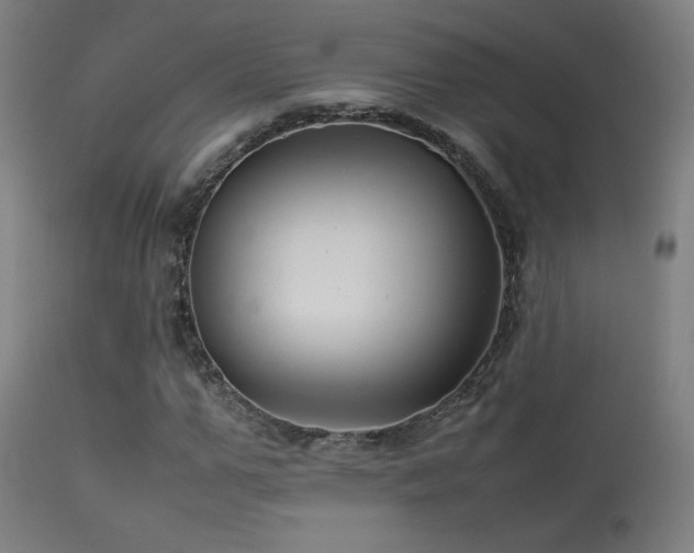X0000113370967200909221219