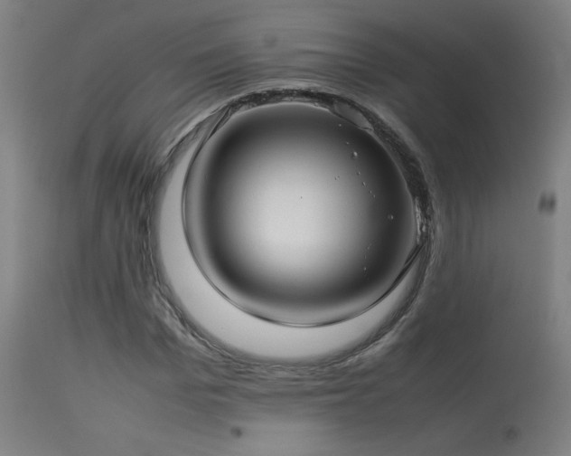 X0000113370969200909221219