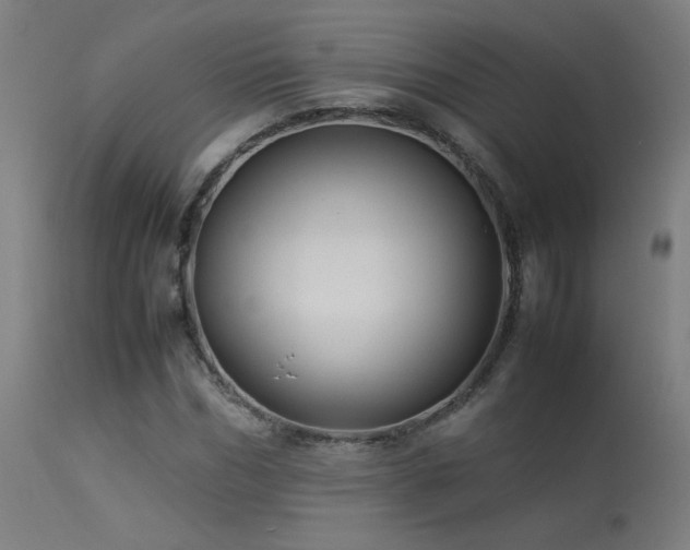 X0000113370970200909221219