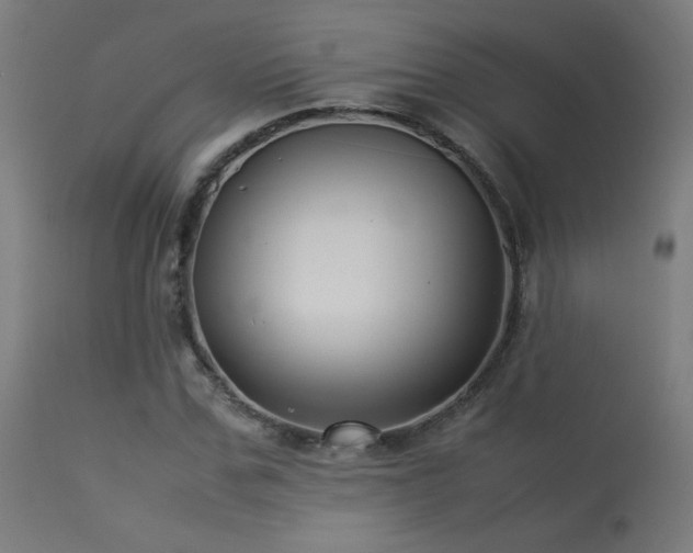 X0000113370971200909221219