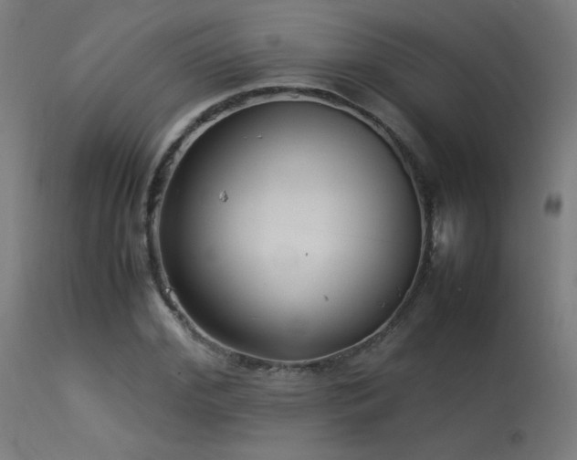 X0000113370972200909221219