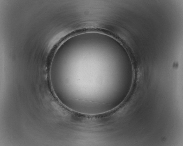 X0000113370973200909221219