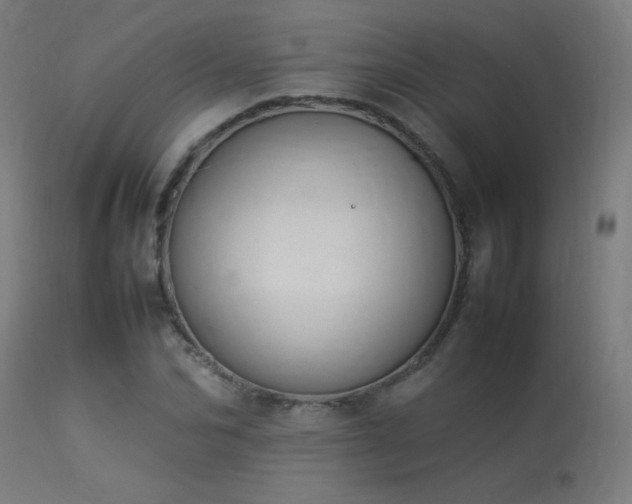 X0000113370974200909221219