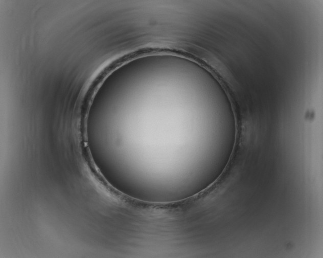 X0000113370976200909221219
