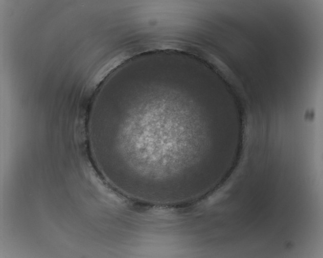 X0000113370977200909221219