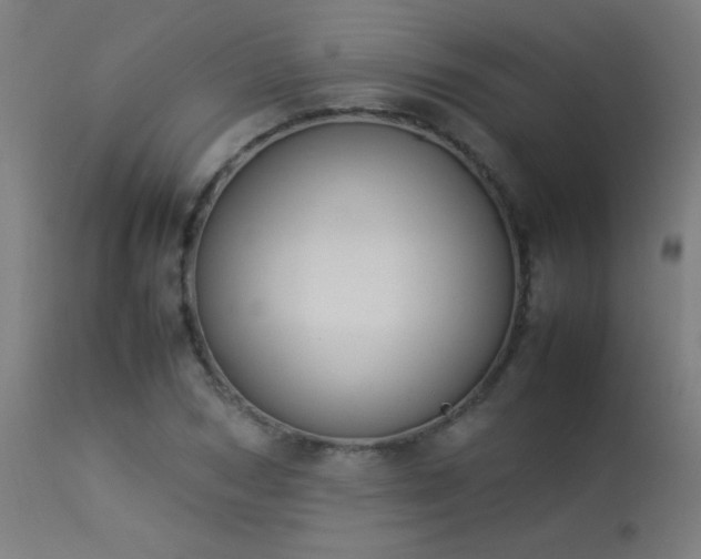 X0000113370978200909221219