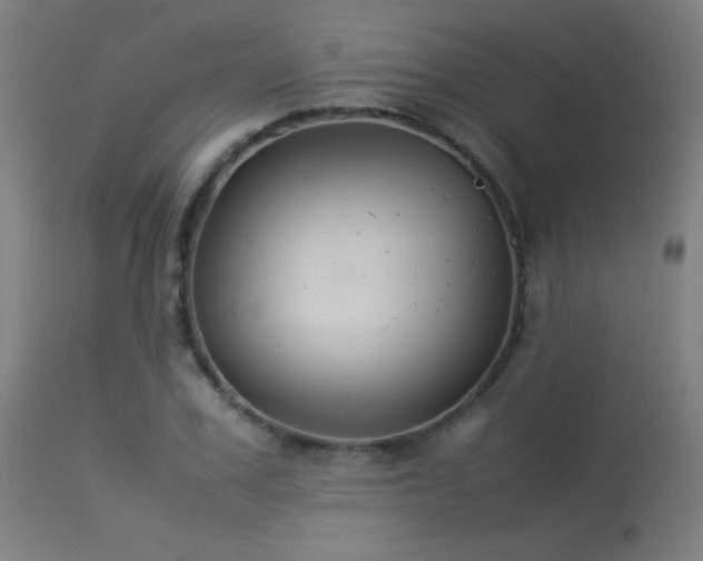 X0000113370979200909221219