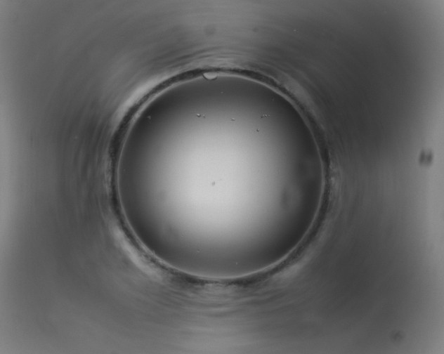 X0000113370981200909221219