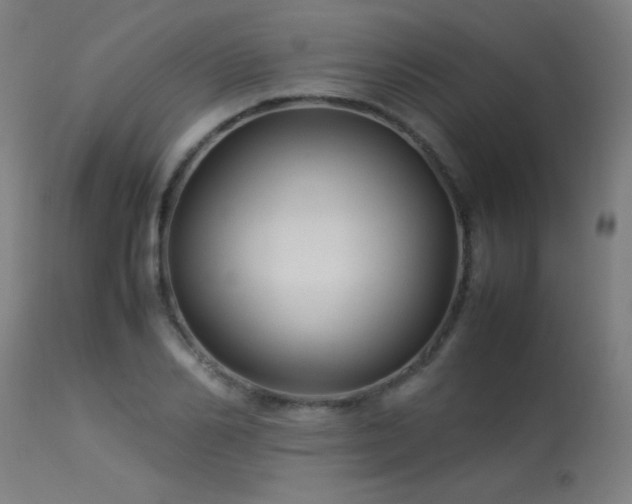 X0000113370982200909221219