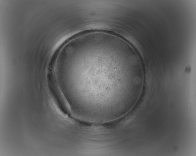 X0000113370983200909221219