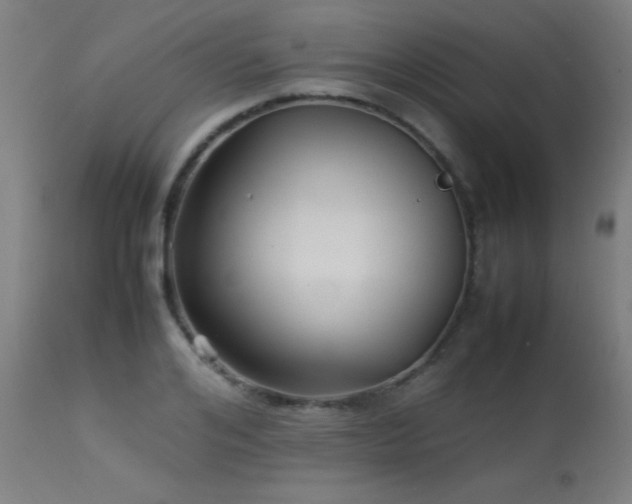 X0000113370984200909221219
