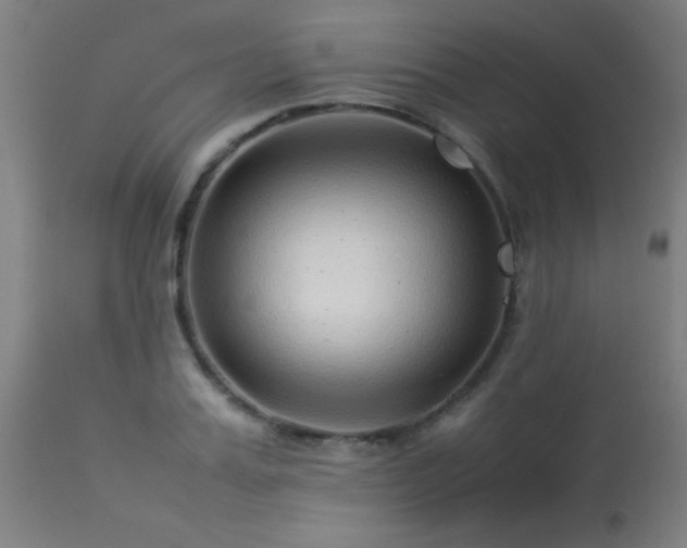 X0000113370987200909221219