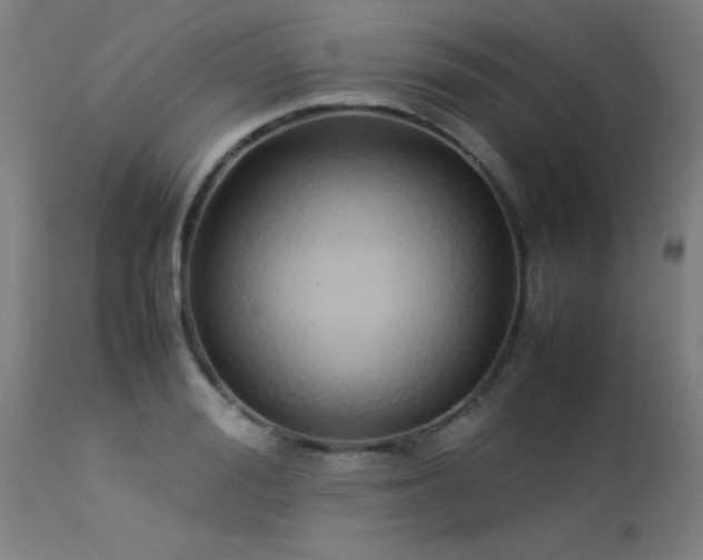 X0000113370988200909221219