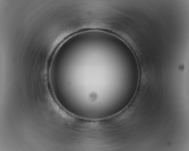 X0000113370990200909221219