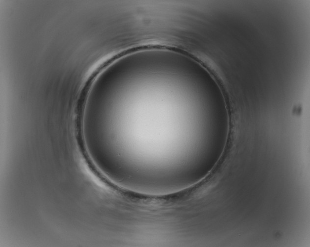 X0000113370991200909221219