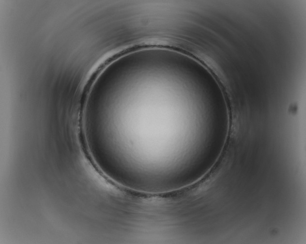 X0000113370992200909221219