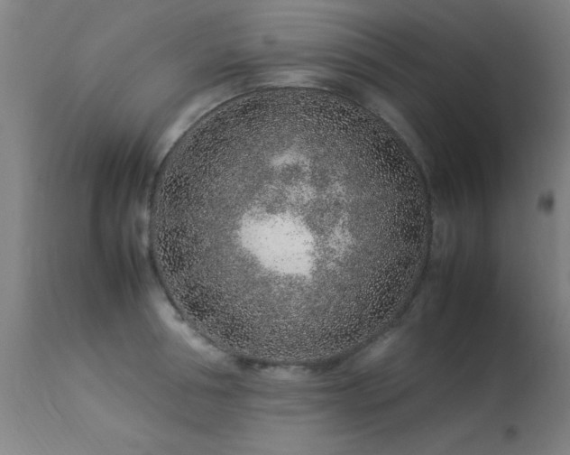 X0000113370994200909221219