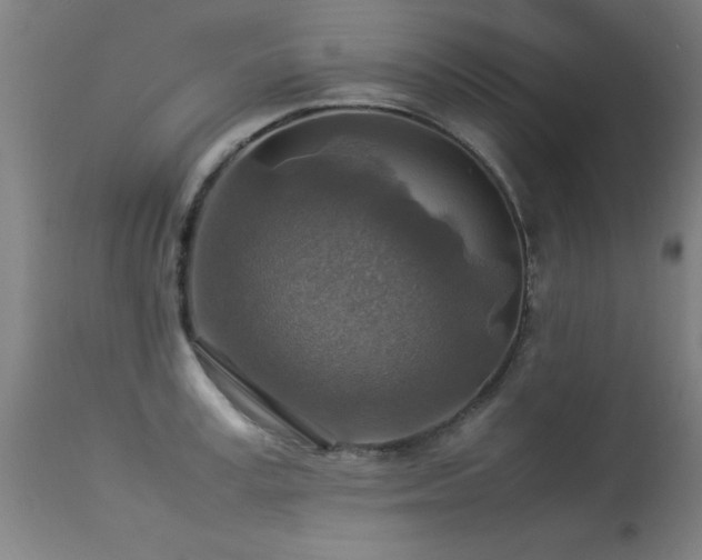 X0000113370995200909221219