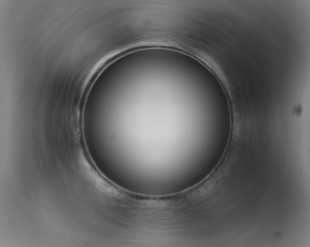X0000113370996200909221219