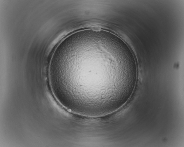X0000113370997200909221219