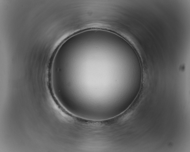 X0000113370999200909221219